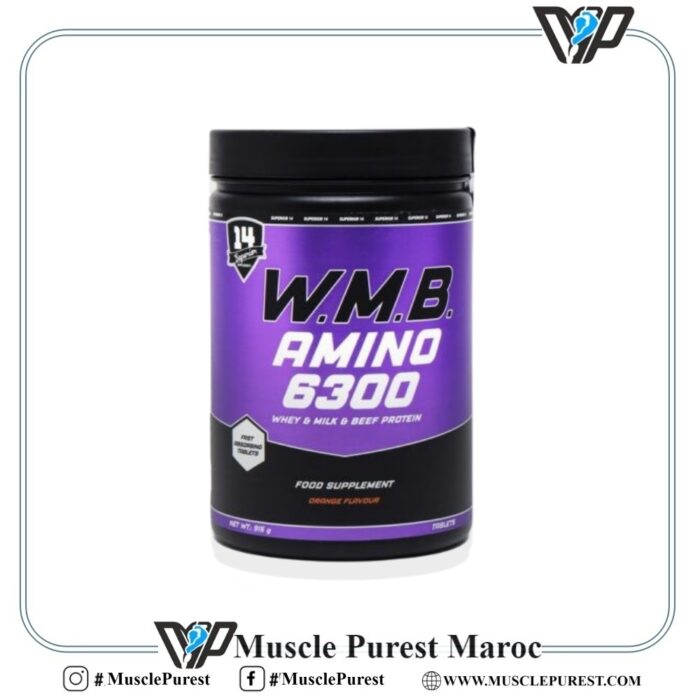 amino 6300