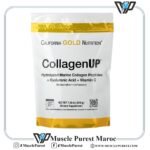 CollagenUP Collagène Marin – California Gold Nutrition (206g)