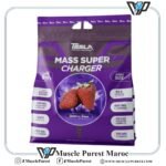 Gainer Mass Super Charger 8kg | Tesla